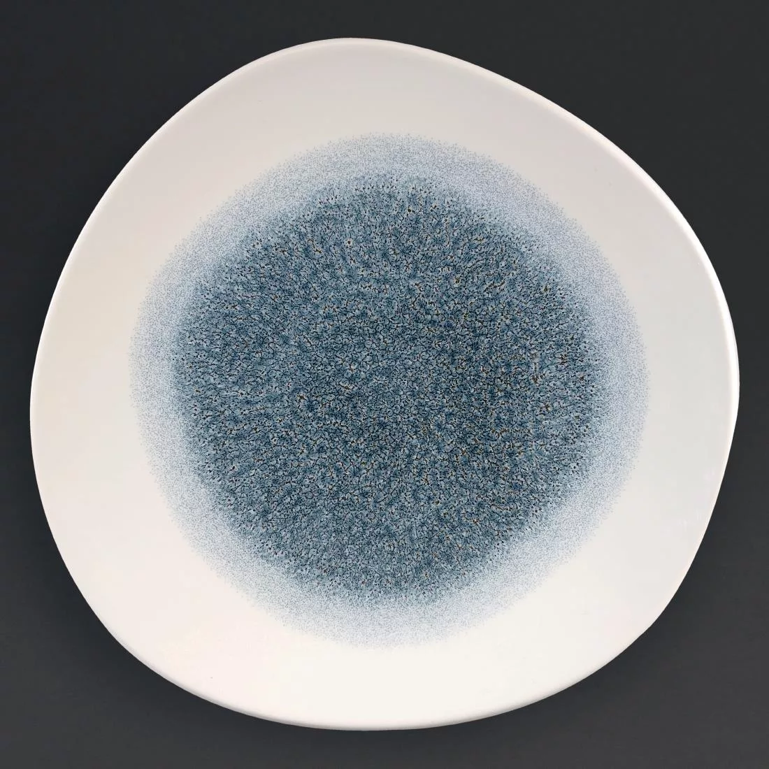 Churchill Studio Prints Raku Round Trace Plates Topaz Blue 264mm (Pack of 12)