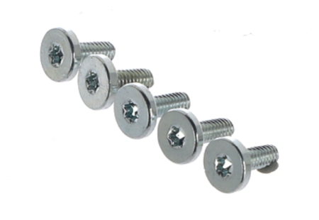 Rational Pan Head Screw TORX T20 10,5MM Pack Of 5 - 10.01.266P